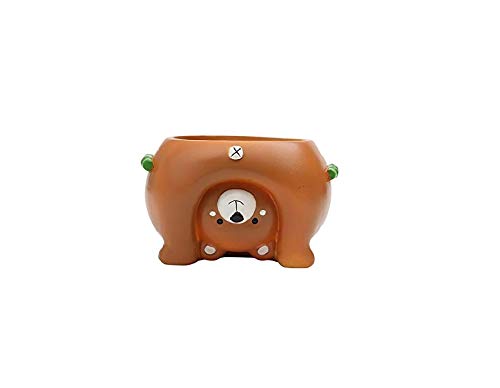 Cute Animal Shaped Cartoon Flower Pots Mini Bonsai Pot (Bear) freeshipping - GeekGoodies.in