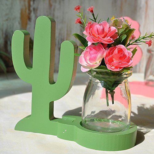 Cactus Plant Holder freeshipping - GeekGoodies.in