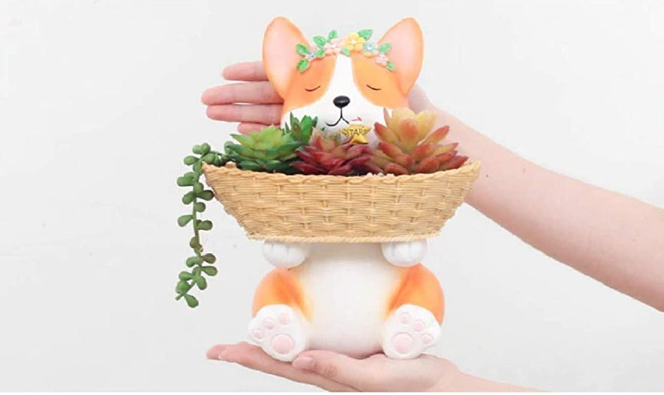 Animal Holding Tray Fruit Plant Pot freeshipping - GeekGoodies.in